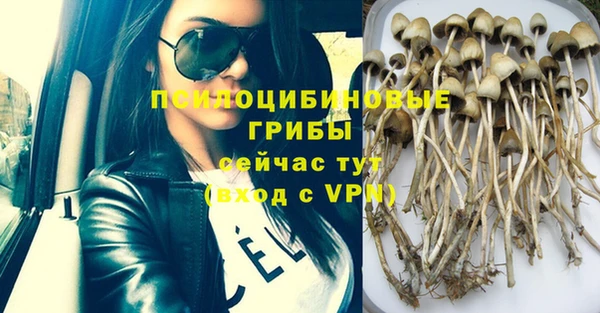 ешки Липки