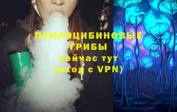ешки Липки
